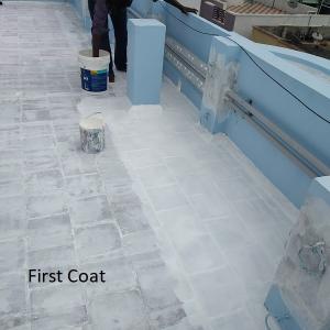 Roof Seal Top Coat 