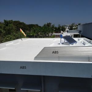 Dr Fixit Roof Seal Top Coat 